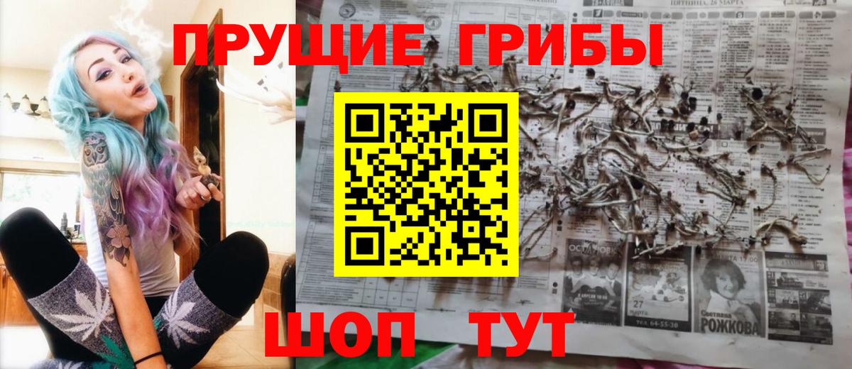 Галлюциногенные грибы прущие грибы  Вход с VPN  Дивногорск  закладки  Псилоцибиновые грибы прущие грибы 
