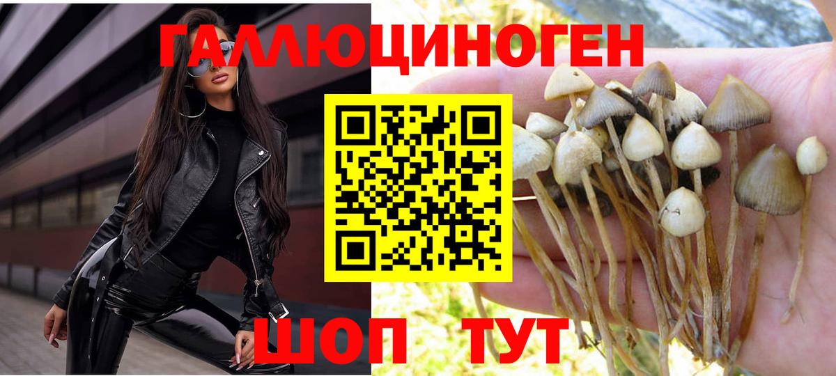 Галлюциногенные грибы Magic Shrooms Дивногорск